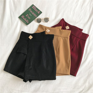 Plus Size High Waist Skirt